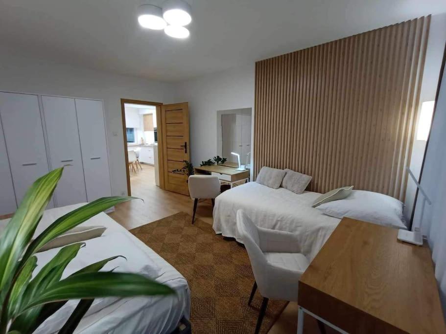 Apartament Podgorna 19 Διαμέρισμα Stary Toruń Εξωτερικό φωτογραφία