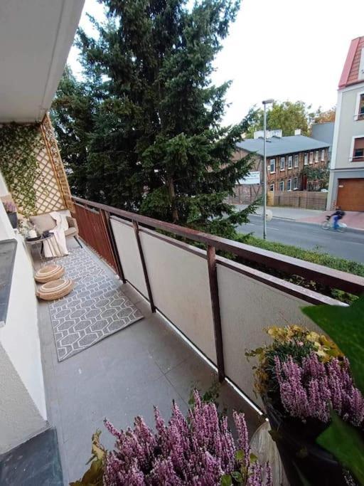 Apartament Podgorna 19 Διαμέρισμα Stary Toruń Εξωτερικό φωτογραφία
