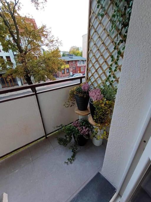 Apartament Podgorna 19 Διαμέρισμα Stary Toruń Εξωτερικό φωτογραφία